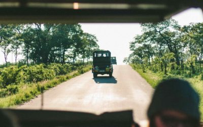 Gehörlosenkultur in Südafrika