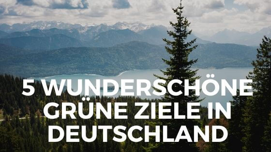 5 wunderschöne grüne Ausflugsorte in Deutschland
